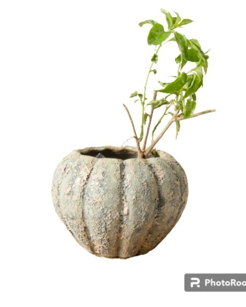Antique Pumpkin Planter Vintage Charm for Your Garden | Plant Not Included