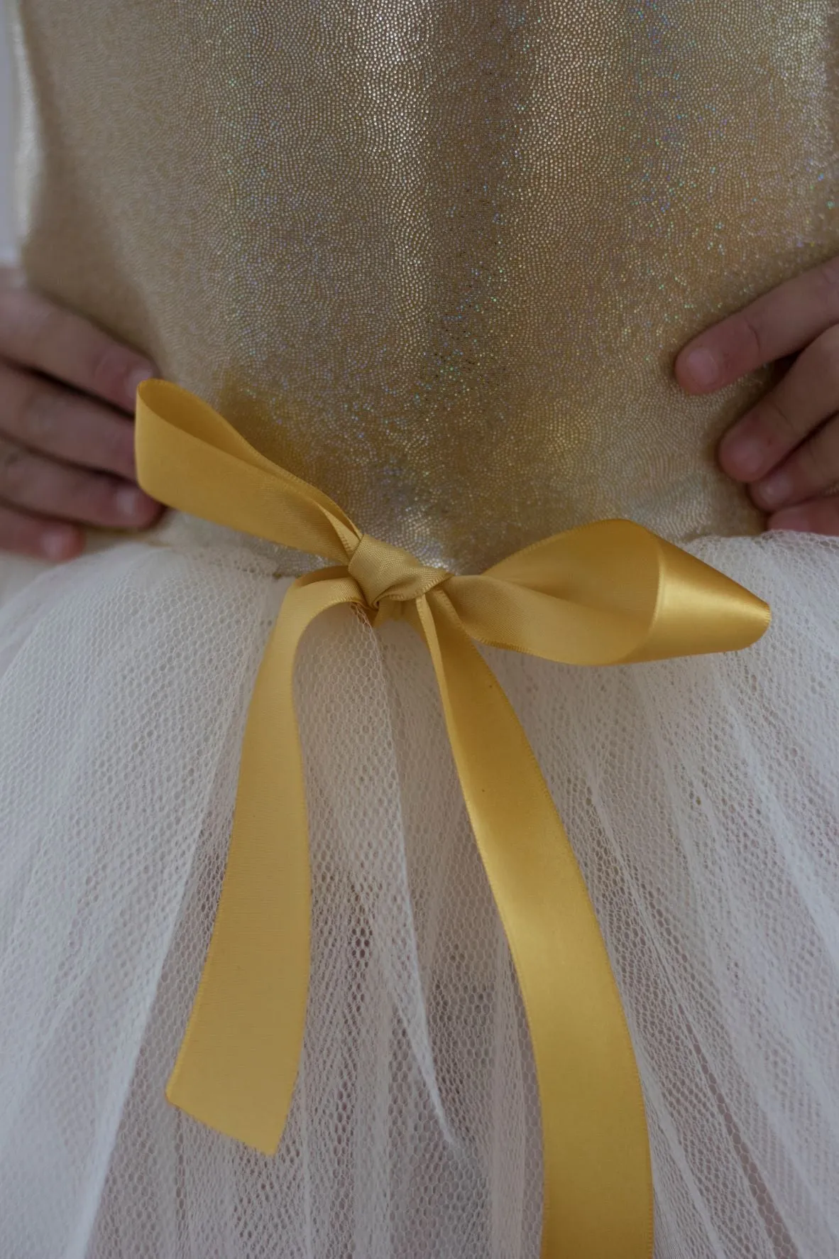 Glitter Ballerina Tutu with Skirt Ribbon Detail (TUTU03G)