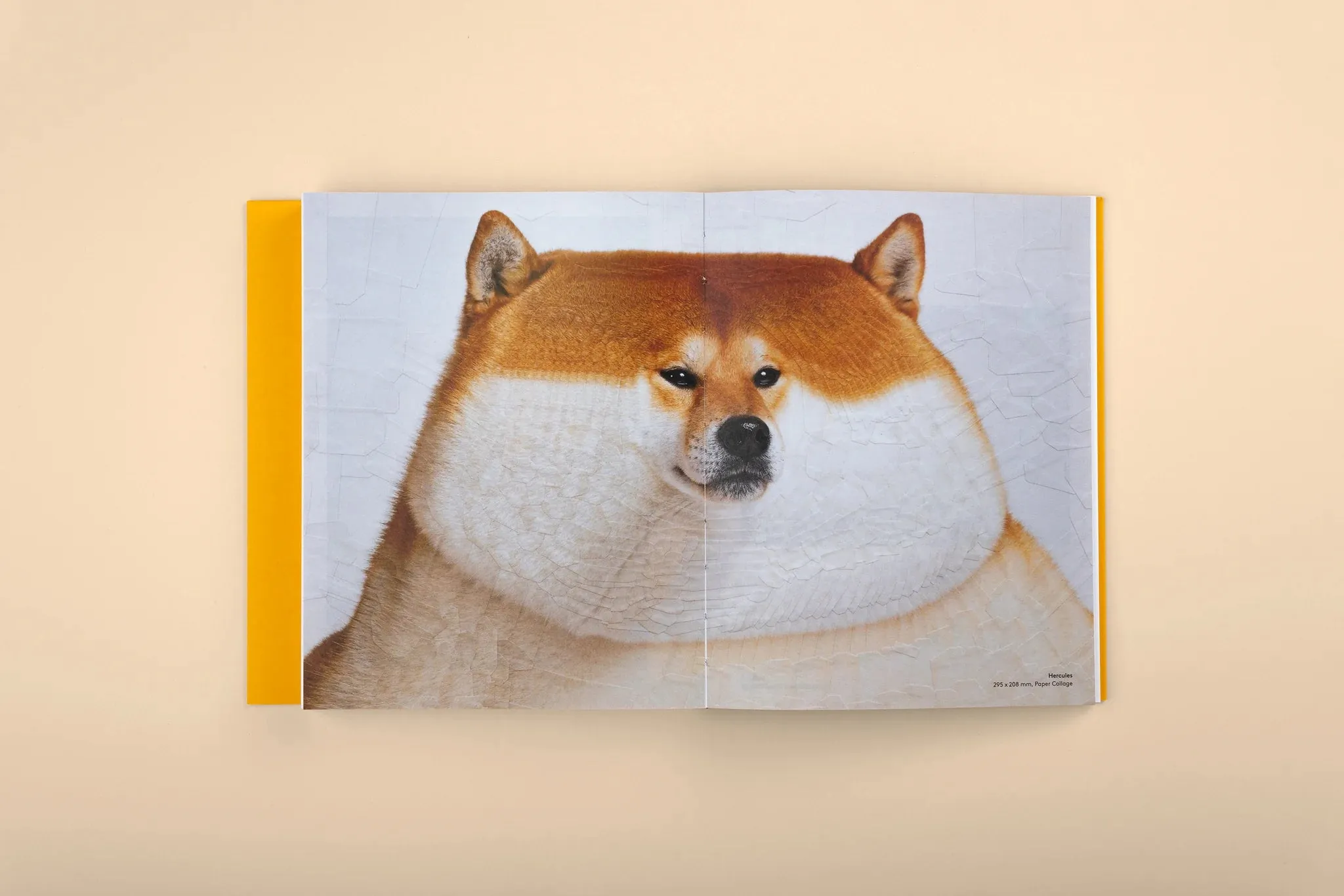 GOOD DOGS: Canine Companions in Art and Illustration