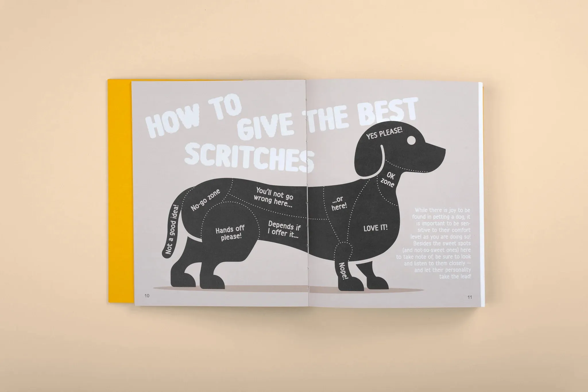 GOOD DOGS: Canine Companions in Art and Illustration