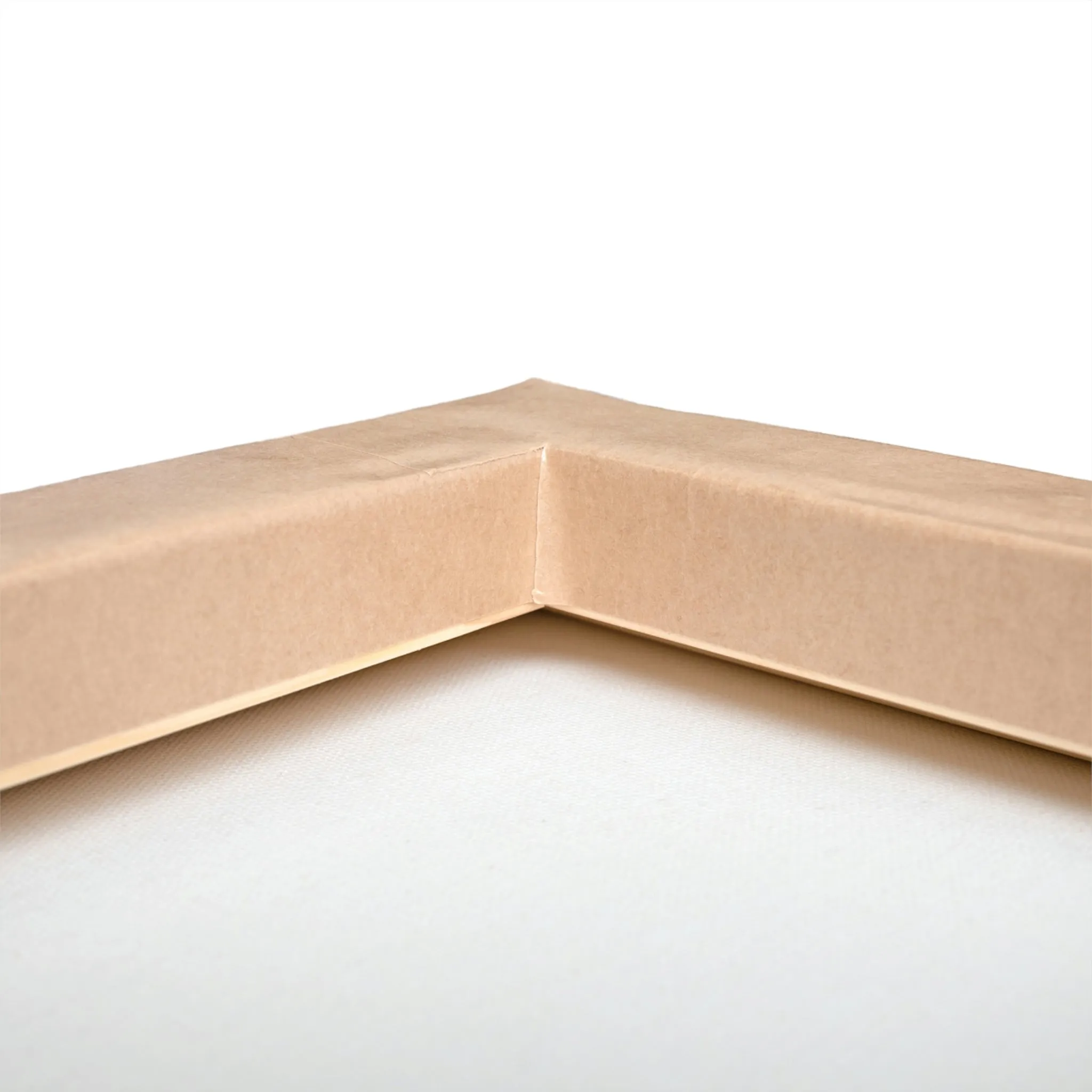 Plato Stretched Canvas
