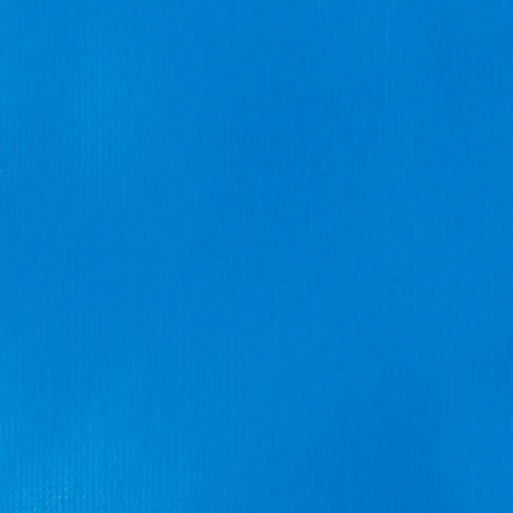 Professional Heavy Body Acrylic - Brilliant Blue