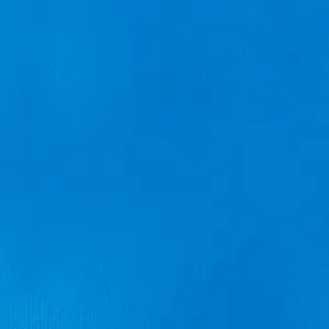 Professional Heavy Body Acrylic - Brilliant Blue