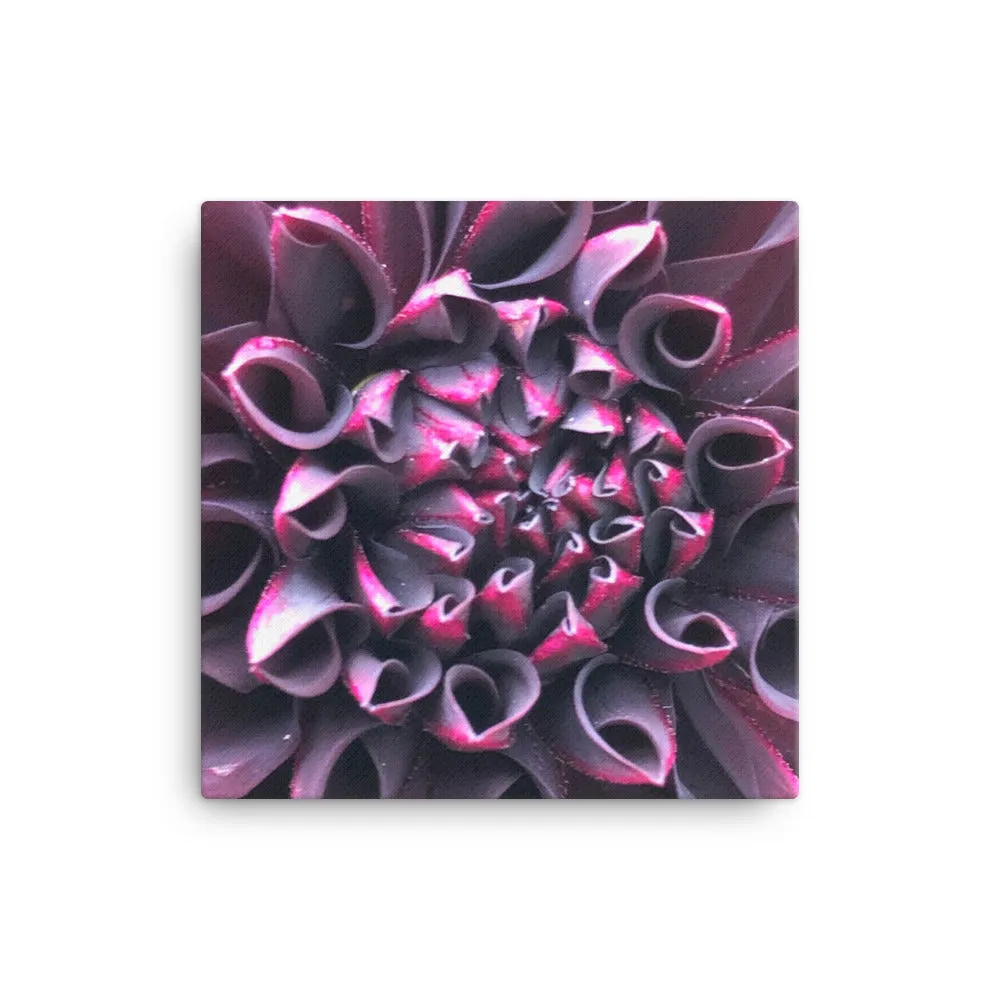 "Even in Darkness there is still light" Purple Flower Canvas