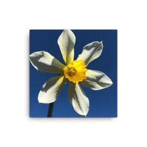 "Find your Peace" Yellow Flower Canvas