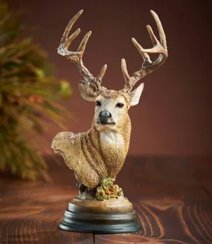 Symmetry—Whitetail Deer